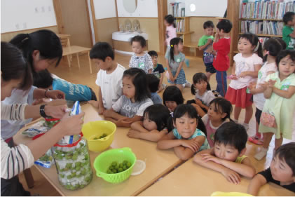 6月｜千歳認定こども園 園児の1年