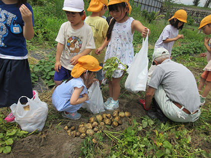 7月｜千歳認定こども園 園児の1年