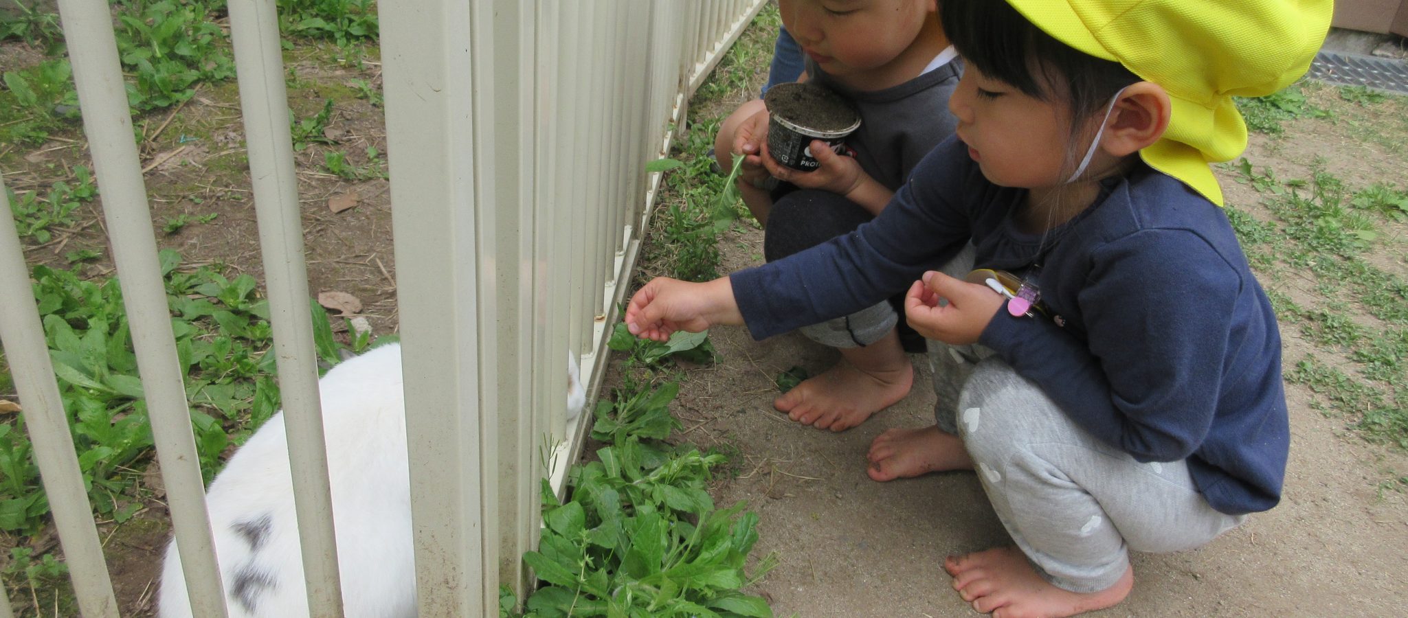 千歳幼稚園