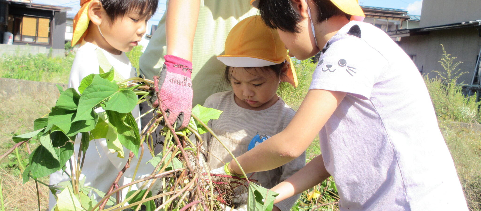 千歳幼稚園