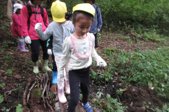 オータムキャンプ(年長組)